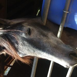 Meet your Posher, Isabell